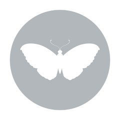 Beautiful Butterfly silhouette icon vector illustration graphic design
