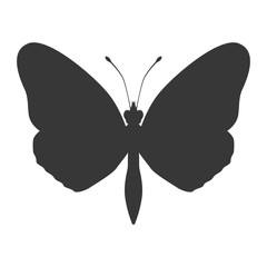 Beautiful Butterfly silhouette icon vector illustration graphic design
