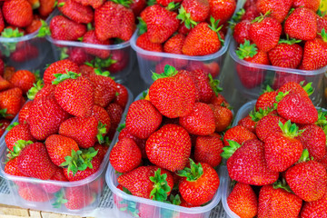 Tasty juicy strawberry berries in boxes, on the market
