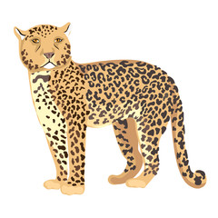 Vector Illustration Cheetah Standing
