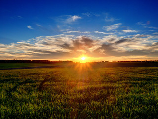 Sunset over field in Poland