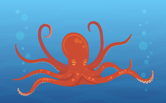 Red octopus in blue sea.