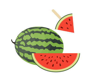 Fresh, juicy and ripe watermelon whole, big slice and popsicles. Vector flat illustration.
