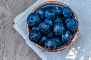 Blueberries in a bowl, natural light