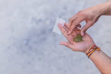 Joven haciendo un porro de Marihuana
