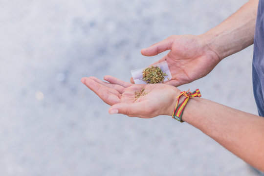 making a joint cannabis addiction