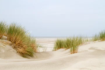 Papier peint photo Herbes des dunes View between two dunes grown with Marram grass on a vast beach and the sea  © Matauw