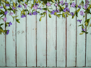 Periwinkle flowers on wooden shabby chic background. Vinca spring flowers border.