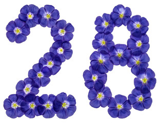 Arabic numeral 28, twenty eight, from blue flowers of flax, isolated on white background