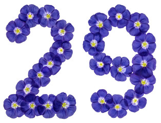 Arabic numeral 29, twenty nine, from blue flowers of flax, isolated on white background
