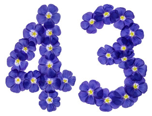 Arabic numeral 43, forty three, from blue flowers of flax, isolated on white background