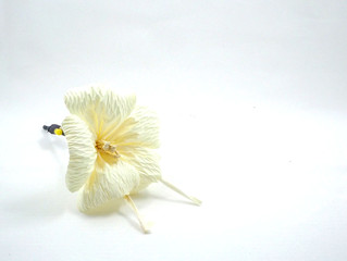 Thai Funeral flower, artificial used for cremation