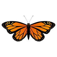 Beautiful Butterfly silhouette icon vector illustration graphic design
