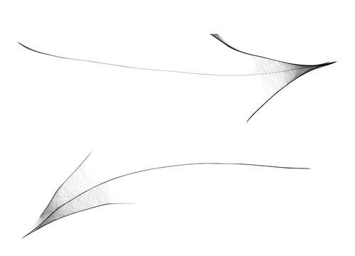 Arachnoid Web Arrow -  Gloomy Halloween Concept -  Drawing Sketch Vector Illustration  
