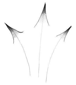 Arachnoid Web Arrow -  Gloomy Halloween Concept -  Drawing Sketch Vector Illustration  