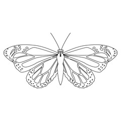 Beautiful Butterfly silhouette icon vector illustration graphic design