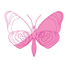 Beautiful Butterfly silhouette icon vector illustration graphic design