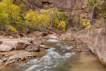 Naklejka na ściany i meble Autumn on the Virgin River Zion National Park Utah