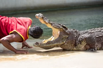 Fotobehang Krokodillenshow © fotoslaz