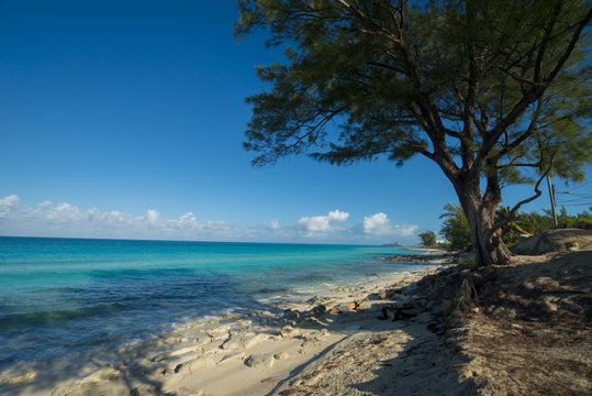 Bimini Beach Bahamas