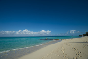 Fototapeta na wymiar Bimini Beach Bahamas 