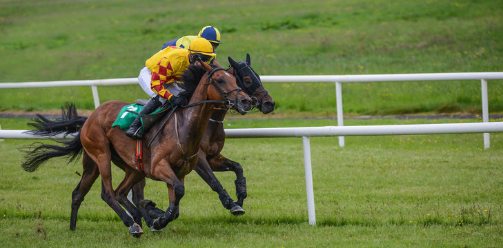 Two jockeys and race horses battling for position in the race
