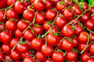 red tomatoes background. Group of tomatoes