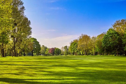 City Park. Panorama Of A Beautiful  Park