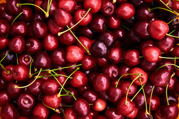 Cherries background. Sweet red cherries