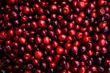 Cherries background. Sweet red cherries