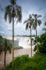 iguazu falls