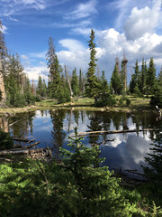 Mountain Lake with Reflections of Pine Trees