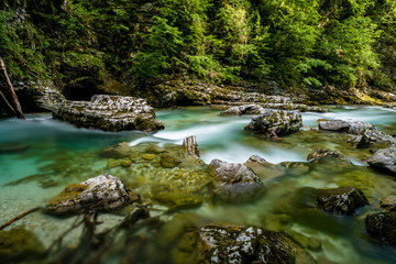 Vintgar Schlucht in der Nähe von Bled