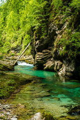 Vintgar Schlucht in der N&auml;he von Bled