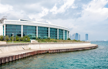 Chicagos Shedd Aquarium with Lake Michigan and skyline, USA
