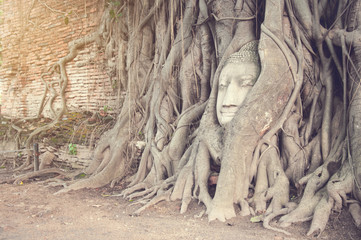 The head of ancient buddha statue in the tree roots in Thailand