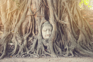 The head of ancient buddha statue in the tree roots in Thailand