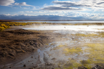Lake in sol de manana geothermal field, sud Lipez reserva, Bolivia