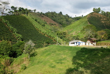 A traditional coffee finca in Salento, Colombia