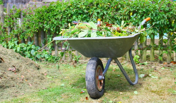 brouette de d&eacute;chets verts,outil dans le jardin,entretien