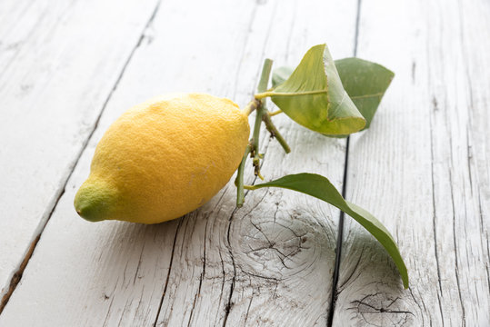 Sicilian lemon with leaves