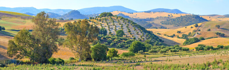 Campagne andalouse dans la r&eacute;gion des villages blancs