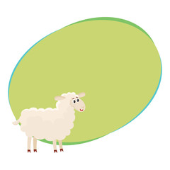 Well gromed fluffy sheep, lamb with big eyes, cartoon vector illustration with space for text. Cute and funny farm sheep, lamb with friendly face and big eyes