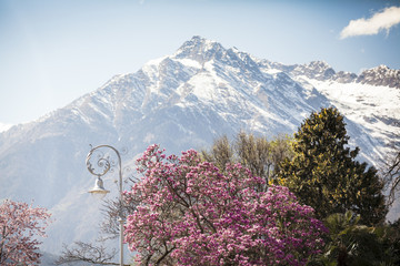 view of Dolomites in the area of Trentino-Alto-Adige region, Italy. Selective focus