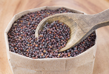 Black Mustard Seeds - Brassica nigra
