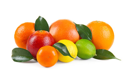 Beautiful composition with citrus fruits on white background