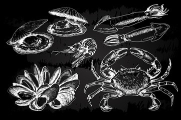 Seafood hand drawn collection