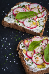 Delicious vegetarian sandwiches