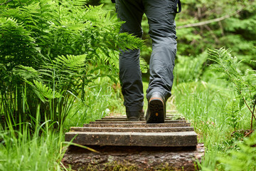 Mann läuft auf einen hölzernen Pfad durch den Wald