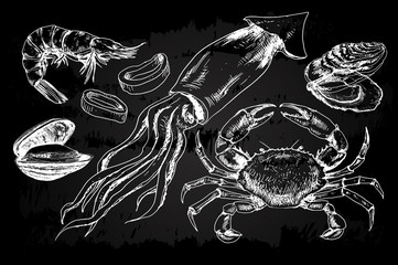 Seafood hand drawn collection
